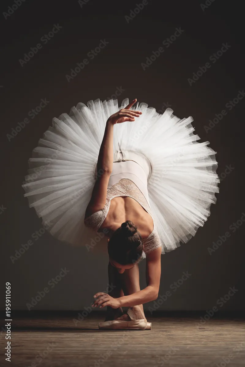 Image Alexander image beautiful image beautiful image beautiful image beautiful - Photo & Art Print Young beautiful ballerina is posing in studio ...