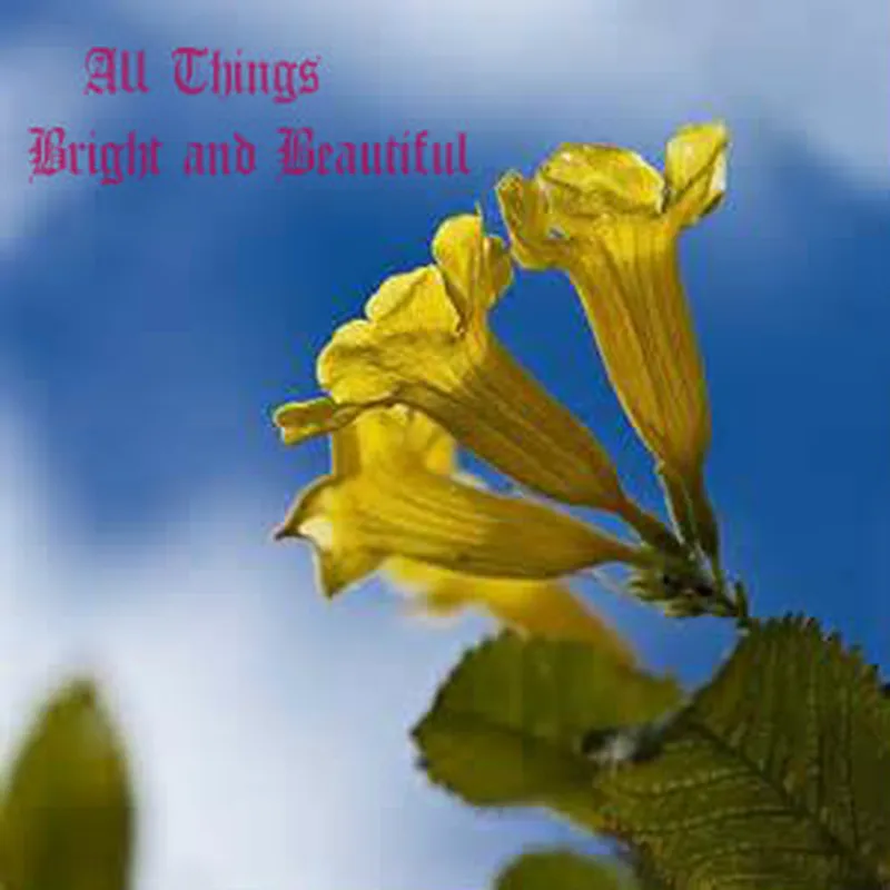 Image Alexander image beautiful image beautiful image beautiful image beautiful image beautiful image beautiful image beautiful image beautiful image beautiful - Behind the Song Sunday: All Things Bright and Beautiful ⋆ Diana ...