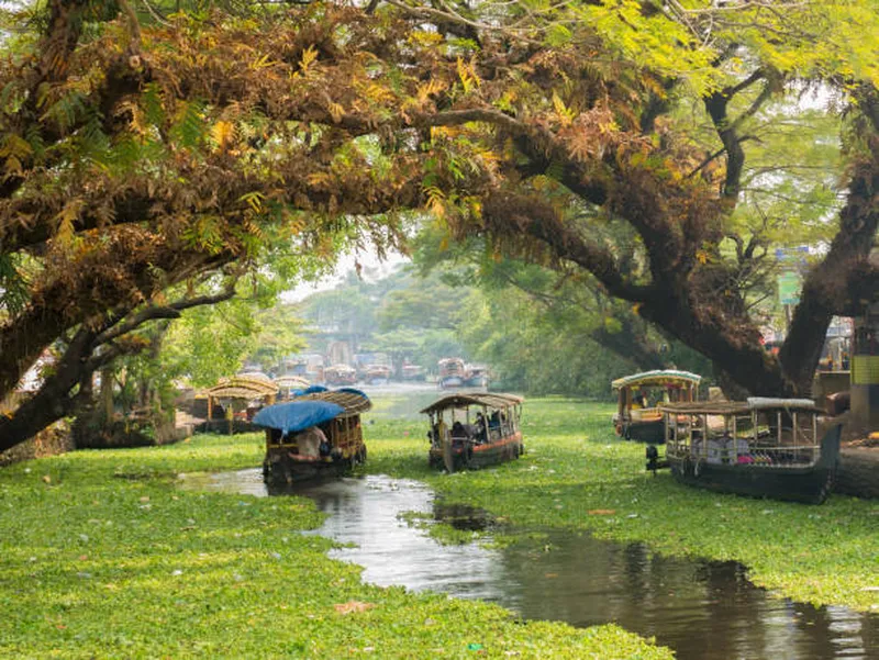 Image Alleppey (Alappuzha) - Venice of the East image beautiful image beautiful image beautiful image beautiful image beautiful image beautiful - Houseboats On The Backwaters Of Kerala In Alappuzha Stock Photo ...