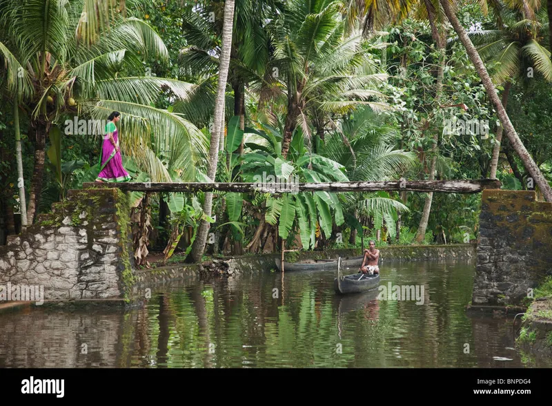 Image Alleppey (Alappuzha) - Venice of the East image beautiful image beautiful image beautiful image beautiful image beautiful image beautiful - Woman in traditional kerala sari hi-res stock photography and ...