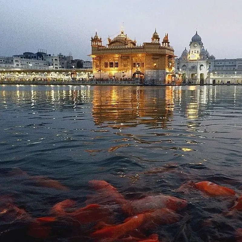 Image Amritsar - Golden Temple image beautiful image beautiful image beautiful - Pin page