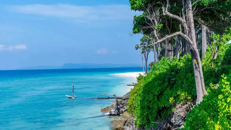 Image Andaman Islands - Tropical Paradise image beautiful - Havelock Island (Swaraj Dweep): India's beautiful tropical ...