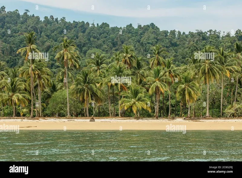 Image Andaman Islands - Tropical Paradise image beautiful image beautiful image beautiful image beautiful - Tropical rural view hi-res stock photography and images - Alamy