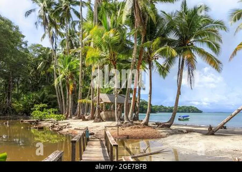 Image Andaman Islands - Tropical Paradise image beautiful image beautiful image beautiful image beautiful image beautiful image beautiful image beautiful - Untouched remote tropical beach with palm trees and blue sky ...