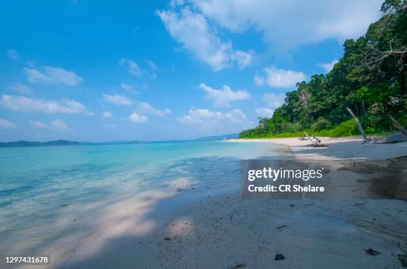 Image Andaman Islands - Tropical Paradise image beautiful image beautiful image beautiful image beautiful image beautiful image beautiful image beautiful image beautiful - 385 Andaman Nicobar Island Stock Photos, High-Res Pictures, and ...