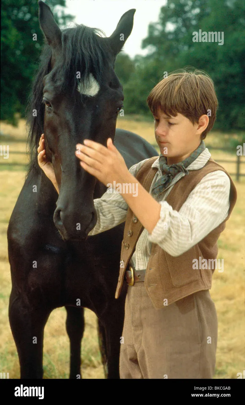 Image Andrew image beautiful image beautiful - BLACK BEAUTY -1995 ANDREW KNOTT Stock Photo - Alamy