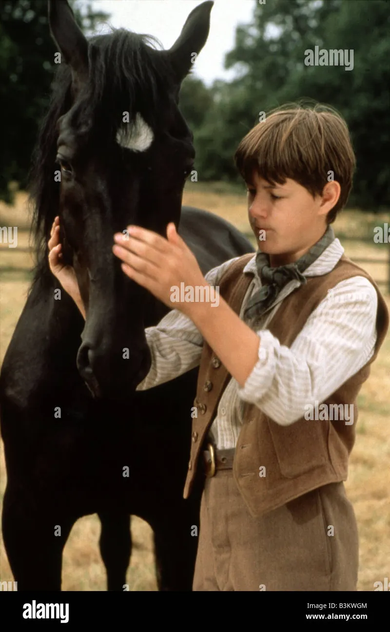 Image Andrew image beautiful image beautiful image beautiful image beautiful - Black beauty horse film hi-res stock photography and images - Alamy