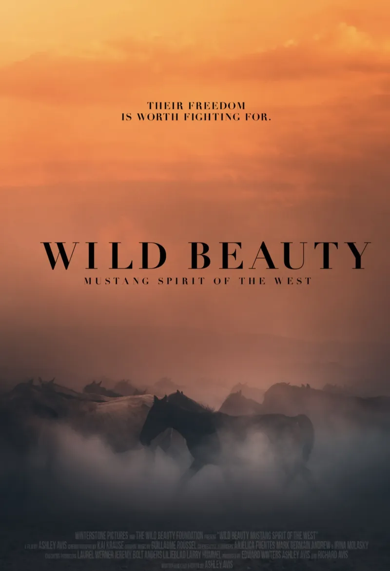 Image Andrew image beautiful image beautiful image beautiful image beautiful image beautiful image beautiful - Wild Beauty: Mustang Spirit of the West (2022) - IMDb