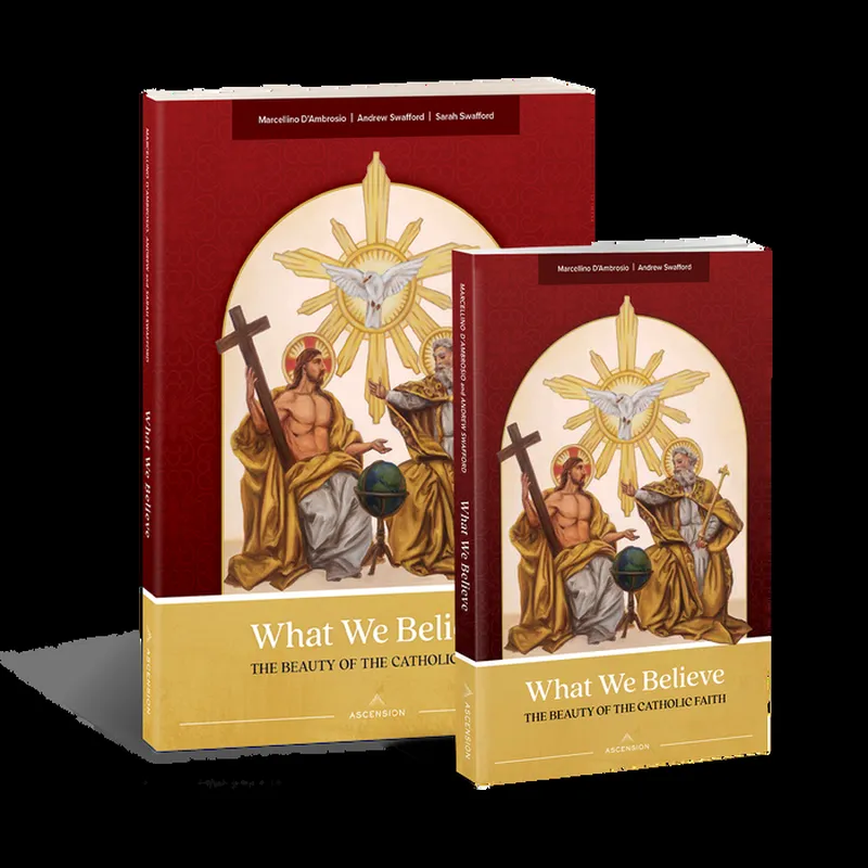 Image Andrew image beautiful image beautiful image beautiful image beautiful image beautiful image beautiful image beautiful image beautiful - What We Believe: The Beauty of the Catholic Faith, Study Set ...