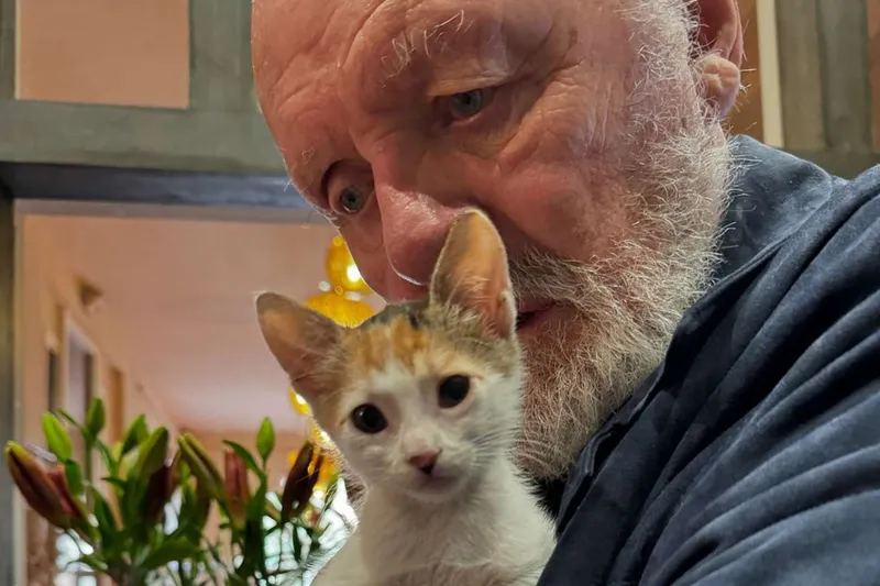 Image Anthony image beautiful - Anthony Hopkins Cuddles Beautiful Cat in Sweet Images from Morocco