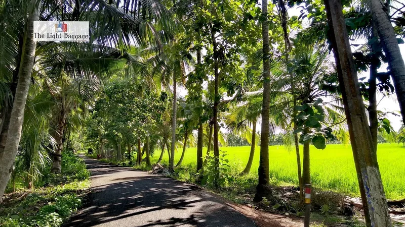 Image AP Arjun image beautiful image beautiful image beautiful image beautiful image beautiful image beautiful - Konaseema & around: Exploring the beauty of coastal AP