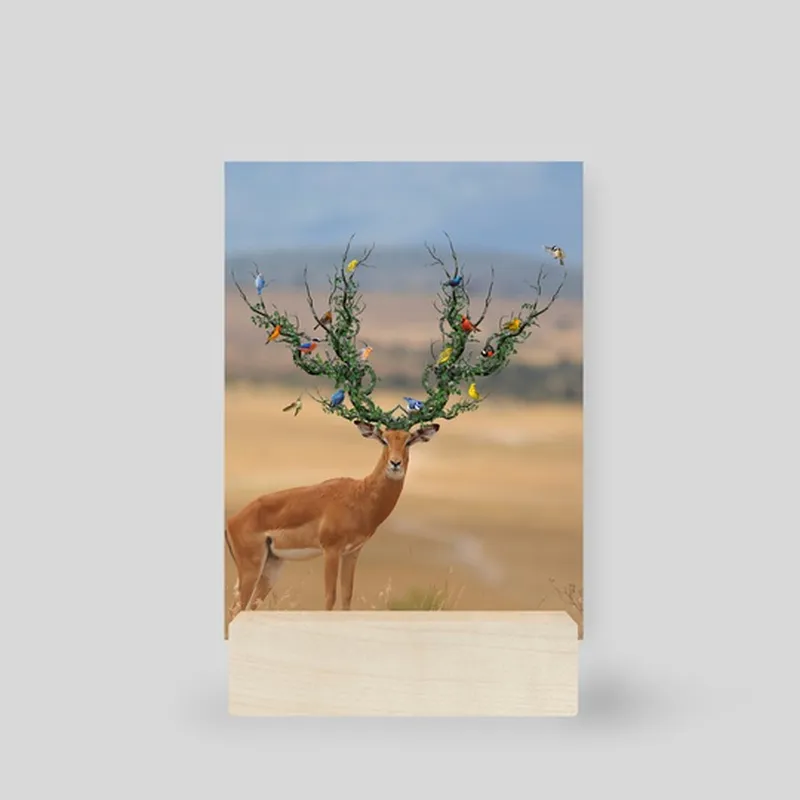 Image Arjun Kumar image beautiful - Beautiful Deer, an art print by Arjun Kumar - INPRNT