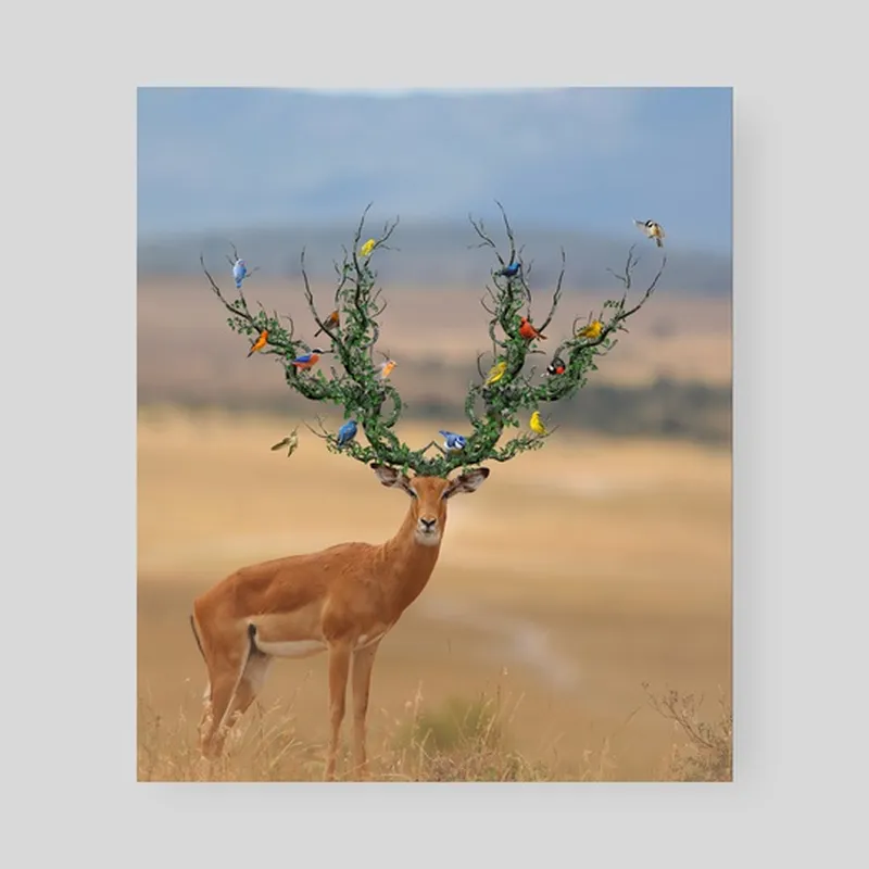 Image Arjun Kumar image beautiful - Beautiful Deer, an art print by Arjun Kumar - INPRNT