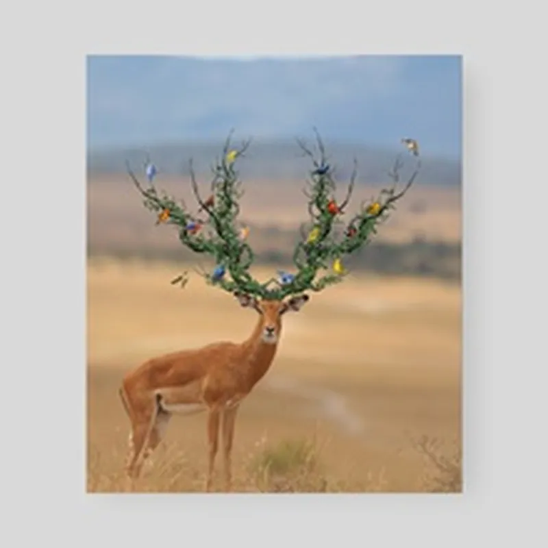 Image Arjun Kumar image beautiful image beautiful - Beautiful Deer, an art print by Arjun Kumar - INPRNT