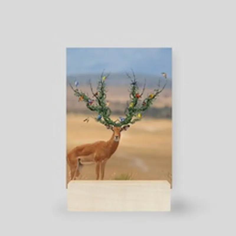 Image Arjun Kumar image beautiful image beautiful image beautiful - Beautiful Deer, an art print by Arjun Kumar - INPRNT