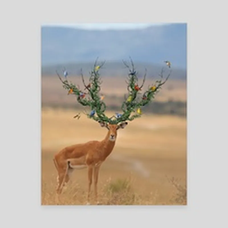 Image Arjun Kumar image beautiful image beautiful image beautiful - Beautiful Deer, an art print by Arjun Kumar - INPRNT