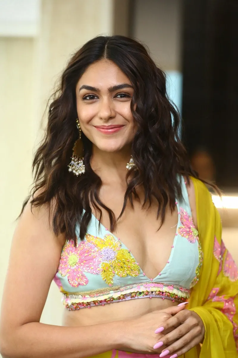 Image Arjun Kumar image beautiful image beautiful image beautiful image beautiful - Mrunal Thakur - Wikipedia