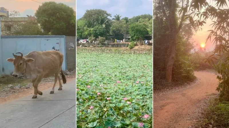 93+ most beautiful images in Auroville – Experimental Community India