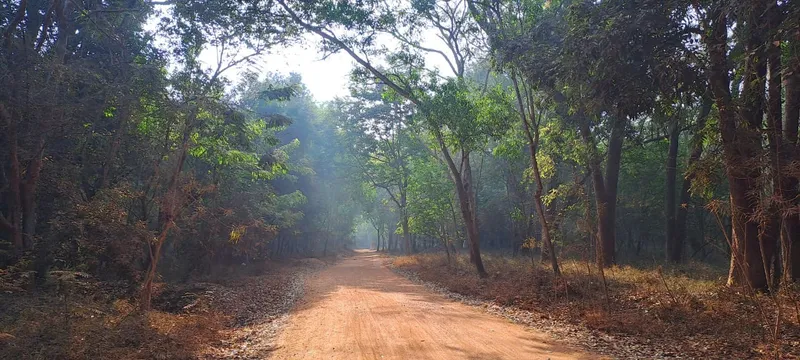 Image Auroville - Experimental Community image beautiful image beautiful image beautiful image beautiful - Forests, Food and Friends, Auroville ♥ - Culture Qisse