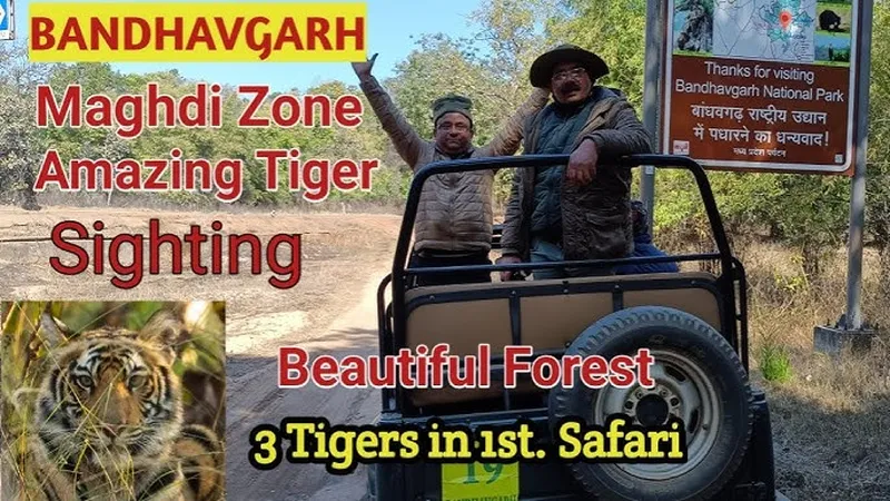 Image Bandhavgarh National Park - Tiger Sightings image beautiful - 3 Tigers Sighting in First Safari of Magdhi Zone in Bandhavgarh ...