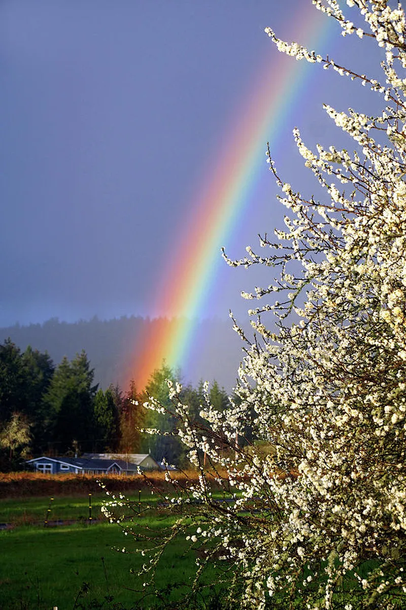 Image Benjamin image beautiful image beautiful image beautiful image beautiful image beautiful image beautiful image beautiful image beautiful - Beautiful Rainbow Touching the Earth Photograph by Ben Upham III ...