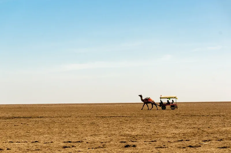 Image Bhuj - Rann of Kutch image beautiful - Diverse Beauty of Gujarat: Ahmedabad, Little Rann, Bhuj & More ...