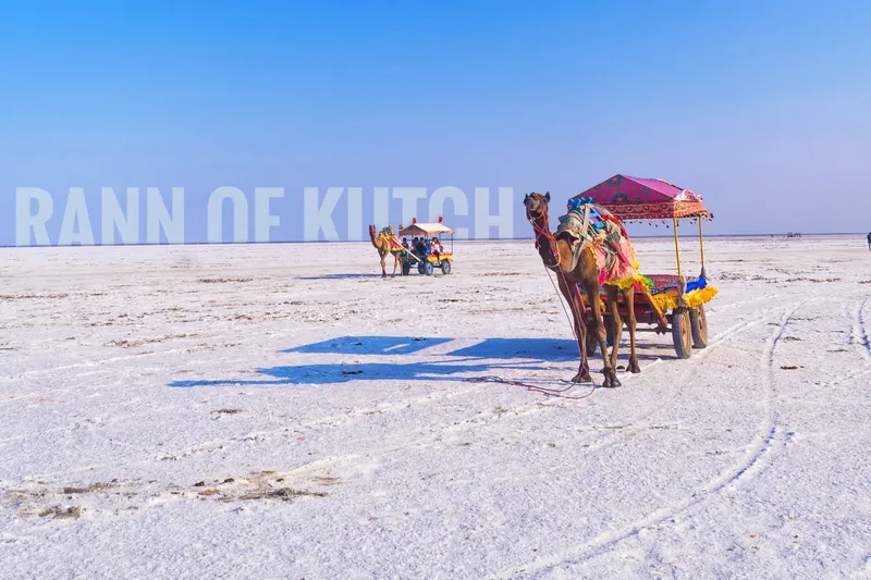 Image Bhuj - Rann of Kutch image beautiful - Rann of Kutch – Backpacking to the White Desert & Bhuj – Compass N ...