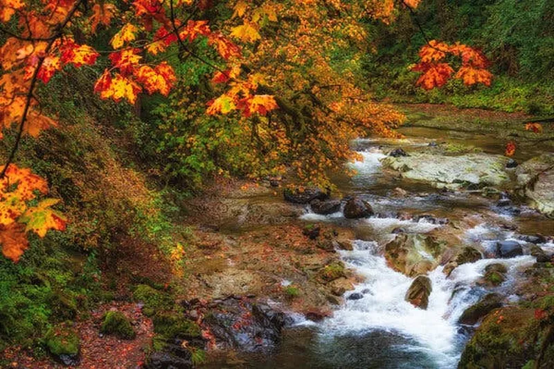 Image Bob image beautiful image beautiful image beautiful image beautiful image beautiful image beautiful image beautiful image beautiful image beautiful - 7 Beautiful Places for Fall Foliage That Aren't in New England ...