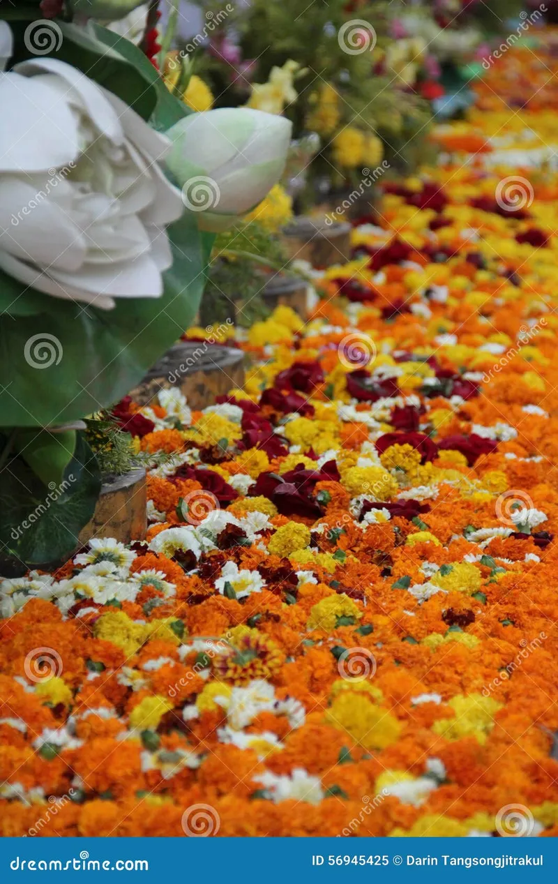 Image Bodh Gaya - Birthplace of Buddhism image beautiful image beautiful image beautiful image beautiful image beautiful - Colorful Beautiful Flowers in Makabusha Day Stock Image - Image of ...