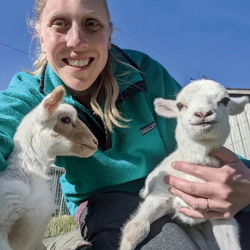 Image Chance image beautiful image beautiful - My Chances of Being a Mom Were Fading. Then Two Beautiful Lambs ...