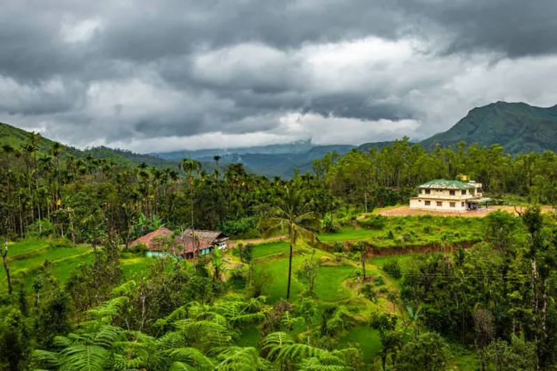 Image Chikmagalur - Coffee Estates image beautiful image beautiful image beautiful image beautiful image beautiful - 460+ Chikmagalur Stock Photos, Pictures & Royalty-Free Images ...