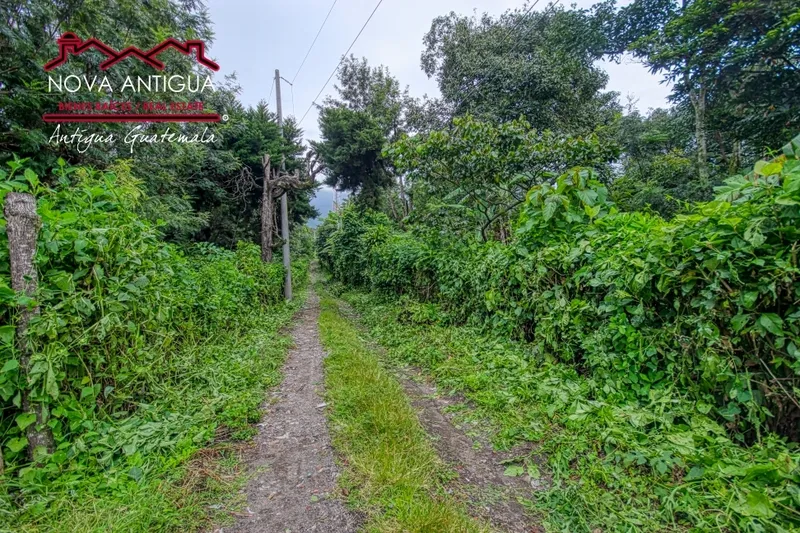 Image Chikmagalur - Coffee Estates image beautiful image beautiful image beautiful image beautiful image beautiful image beautiful - R453 – Beautiful farm in alotenango – Nova antigua