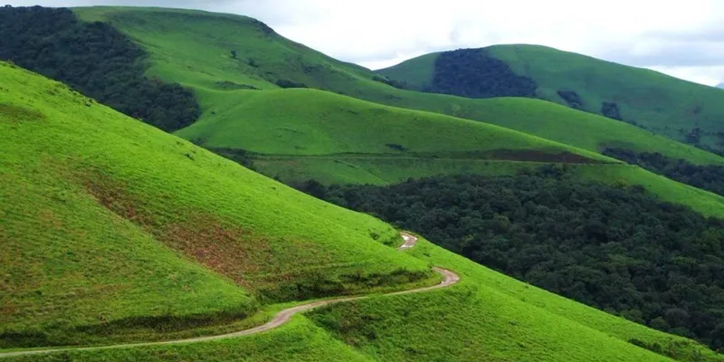 Image Chikmagalur - Coffee Estates image beautiful image beautiful image beautiful image beautiful image beautiful image beautiful image beautiful image beautiful image beautiful - Chikmagalur | Beautiful Haven Nestled in the Western Ghats - Gudlu ...