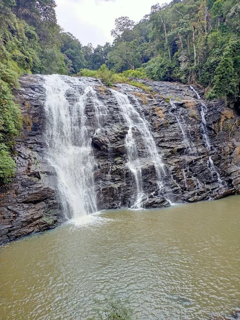 Image Coorg - Abbey Falls image beautiful image beautiful image beautiful - Waterfall in Greenery with Vibrant Water and Wet Paved Mosaic Road ...