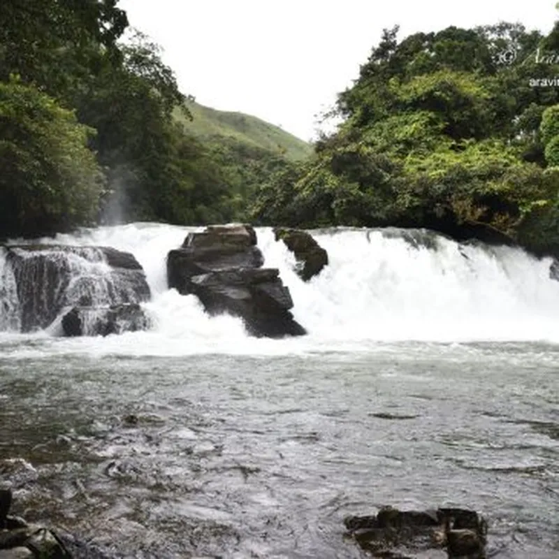 Image Coorg - Abbey Falls image beautiful image beautiful image beautiful image beautiful image beautiful image beautiful - Asia Archives - Page 8 of 38 - Treks and Travels