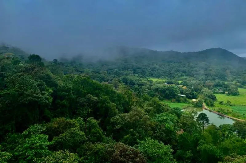 Image Coorg - Abbey Falls image beautiful image beautiful image beautiful image beautiful image beautiful image beautiful image beautiful image beautiful - 870+ Coorg Stock Photos, Pictures & Royalty-Free Images - iStock ...