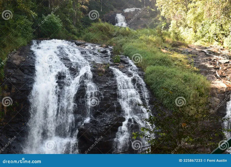 Image Coorg - Abbey Falls image beautiful image beautiful image beautiful image beautiful image beautiful image beautiful image beautiful image beautiful image beautiful - 634 Abbey Waterfall Stock Photos - Free & Royalty-Free Stock ...