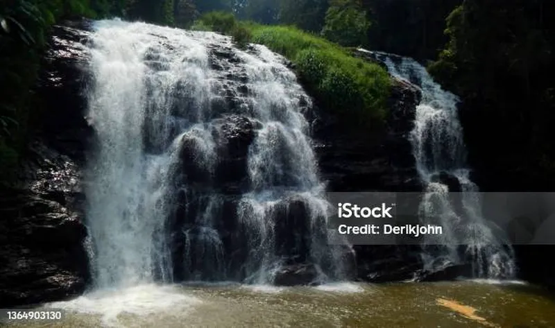 Image Coorg - Abbey Falls image beautiful image beautiful image beautiful image beautiful image beautiful image beautiful image beautiful image beautiful image beautiful image beautiful - Bottom Of The Boti Waterfall With Foliage Stock Photo - Download ...