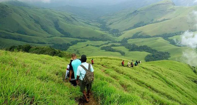 Image Coorg - Coffee Land image beautiful image beautiful image beautiful image beautiful image beautiful image beautiful image beautiful image beautiful image beautiful image beautiful - From Coorg to Mount Abu, These Beautiful Destinations Are A Must ...