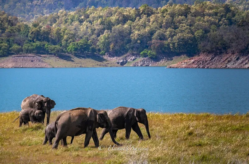 Image Corbett National Park - First National Park of India image beautiful image beautiful image beautiful - Photos of Dhikala Zone - Uttarakhand, India | AllTrails