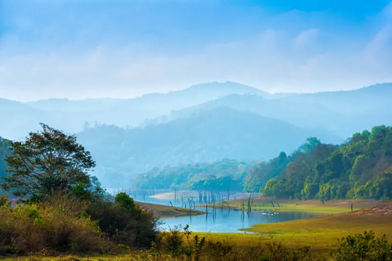 Image Corbett National Park - First National Park of India image beautiful image beautiful image beautiful image beautiful - 500+ Periyar Stock Photos, Pictures & Royalty-Free Images - iStock ...