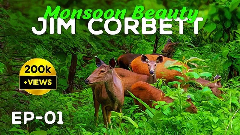 Image Corbett National Park - First National Park of India image beautiful image beautiful image beautiful image beautiful image beautiful - EP 01 - Monsoon Beauty of Jim Corbett with Eagle Safaris - 4K ...