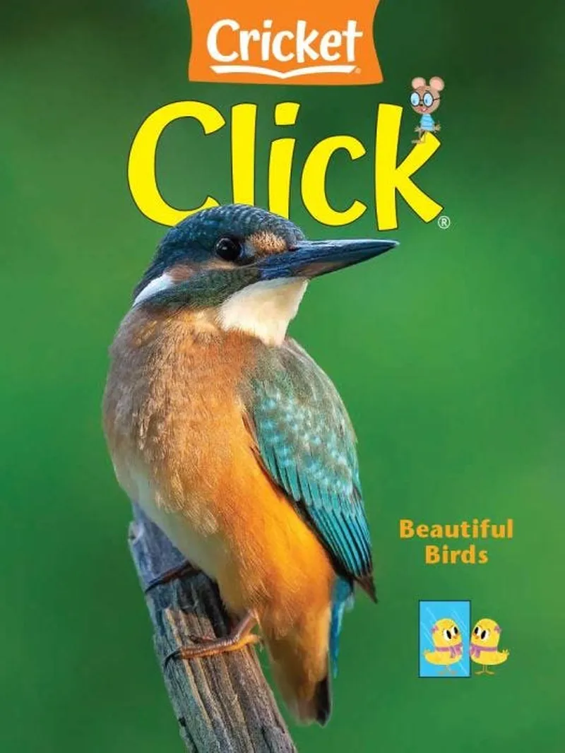 Image Crickit image beautiful image beautiful image beautiful image beautiful image beautiful image beautiful image beautiful - Beautiful Birds