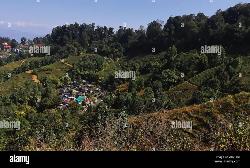 Image Darjeeling - Himalayan Hills and Tea image beautiful - India village countryside darjeeling hi-res stock photography and ...