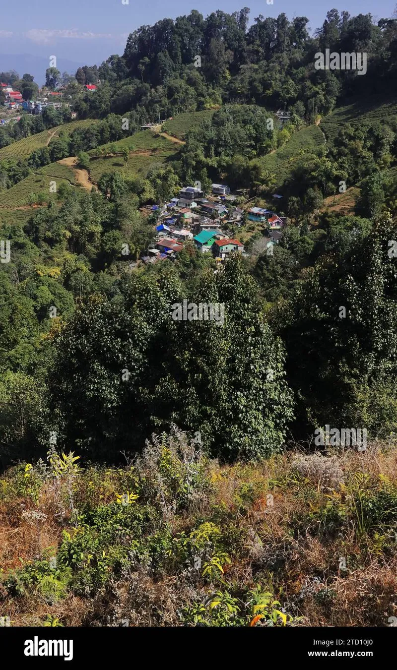 Image Darjeeling - Himalayan Hills and Tea image beautiful - beautiful singamari tea estate and village near darjeeling hill ...