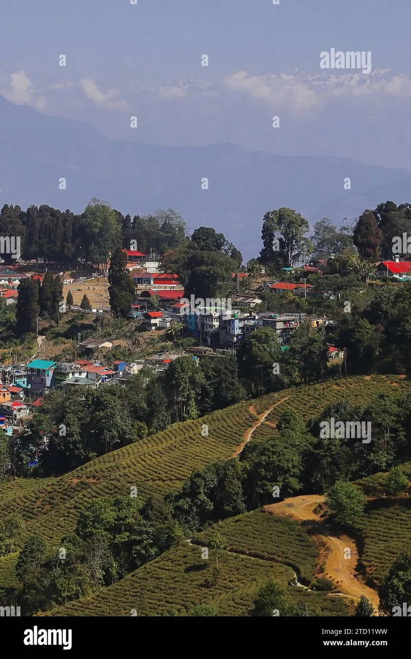 89+ most beautiful images in Darjeeling – Himalayan Hills and Tea India