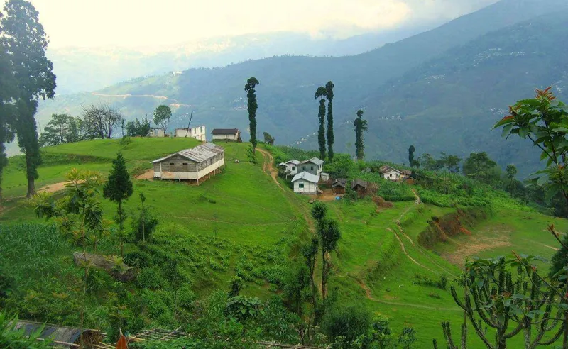 Image Darjeeling - Himalayan Hills and Tea image beautiful image beautiful image beautiful - Darjeeling Sightseeing | Sightseeing In Darjeeling | Times of ...