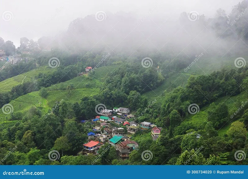 Image Darjeeling - Himalayan Hills and Tea image beautiful image beautiful image beautiful - Singamari Tea Estate and Village Near Darjeeling Hill Station ...