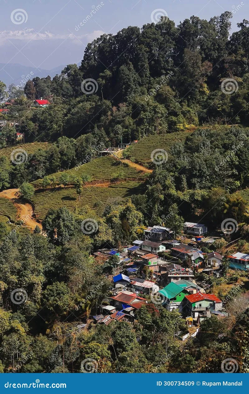 Image Darjeeling - Himalayan Hills and Tea image beautiful image beautiful image beautiful image beautiful image beautiful - Singamari Tea Estate and Village Near Darjeeling Hill Station ...