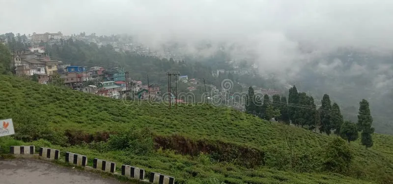 Image Darjeeling - Himalayan Hills and Tea image beautiful image beautiful image beautiful image beautiful image beautiful image beautiful image beautiful - 368 Darjiling Stock Photos - Free & Royalty-Free Stock Photos from ...